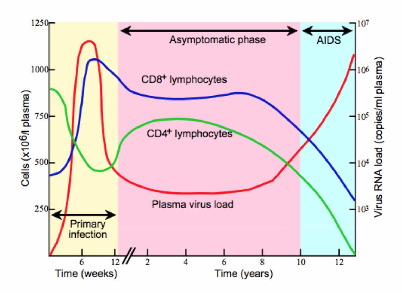 Hiv Viral Load Chart